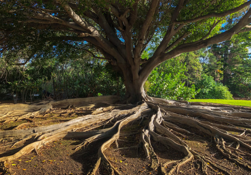 What is at the root of resentment?